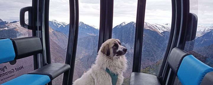 Treeride - Luchon Superbagnères