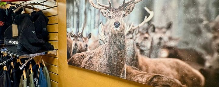 L'aventure - La Mongie