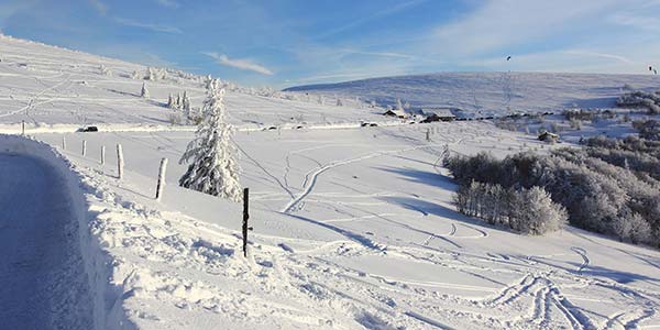 Vosges Mountains